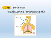 四年级上册科学课件 - 2.2《 呼吸与健康生活 》   教科版（共15张PPT）