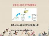不同物质在水中的溶解能力PPT课件免费下载