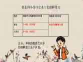 不同物质在水中的溶解能力PPT课件免费下载