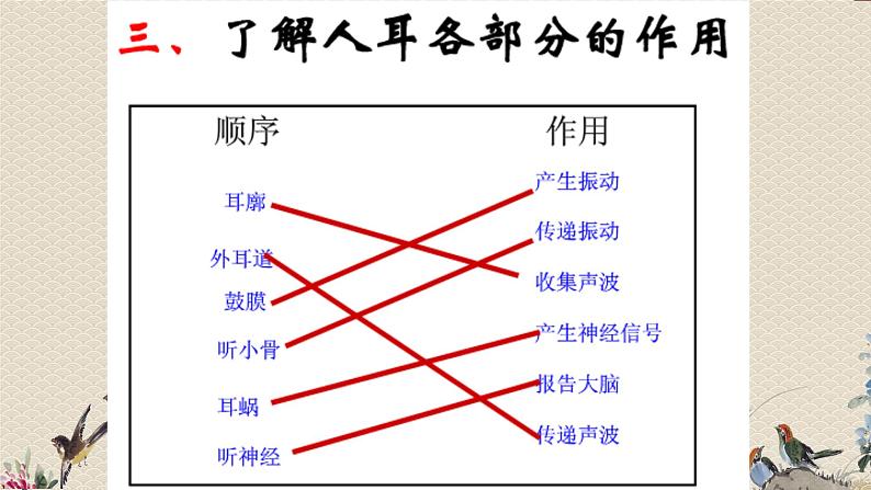 教科版四年级上册科学 声音《我们是怎样听到声音的》课件第7页