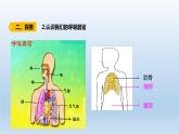 四年级上册科学课件 - 2.1《 感受我们的呼吸 》 教科版（共13张PPT）