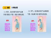 四年级上册科学课件 - 2.1《 感受我们的呼吸 》 教科版（共13张PPT）
