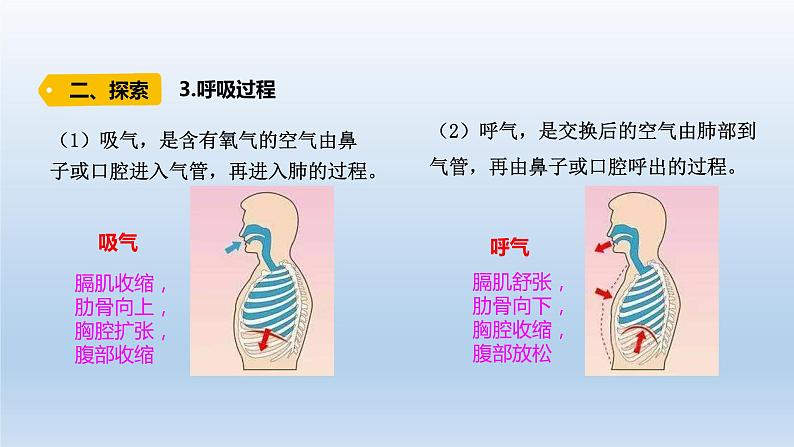 四年级上册科学课件 - 2.1《 感受我们的呼吸 》 教科版（共13张PPT）05