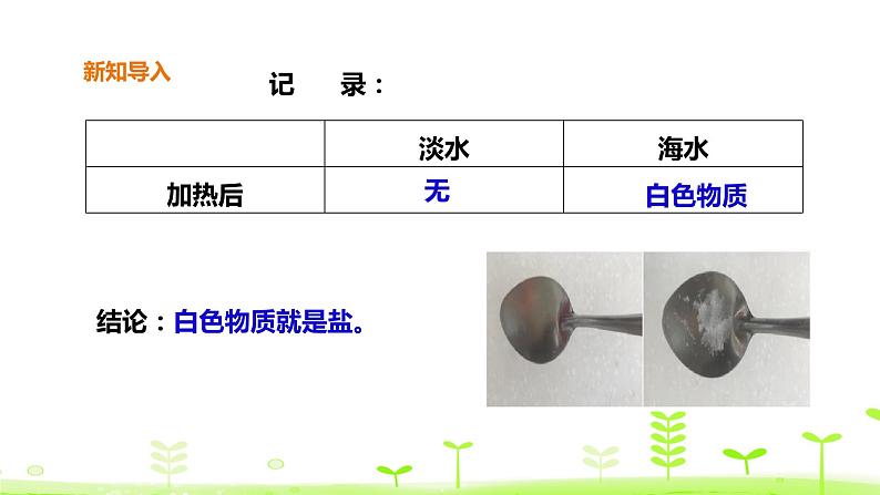 苏科版三上科学4.14《海洋》课件+教案+同步练习（含答案）08