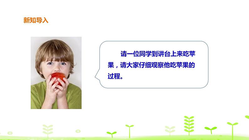 苏科版三上科学5.18《食物的旅行》课件+教案+同步练习（含答案）02