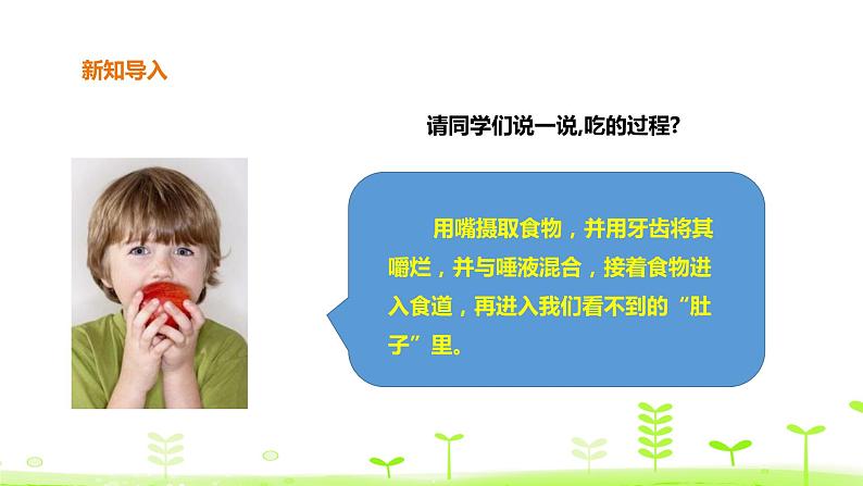 苏科版三上科学5.18《食物的旅行》课件+教案+同步练习（含答案）03