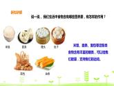 苏科版三上科学5.19《食物与营养》课件+教案+同步练习（含答案）