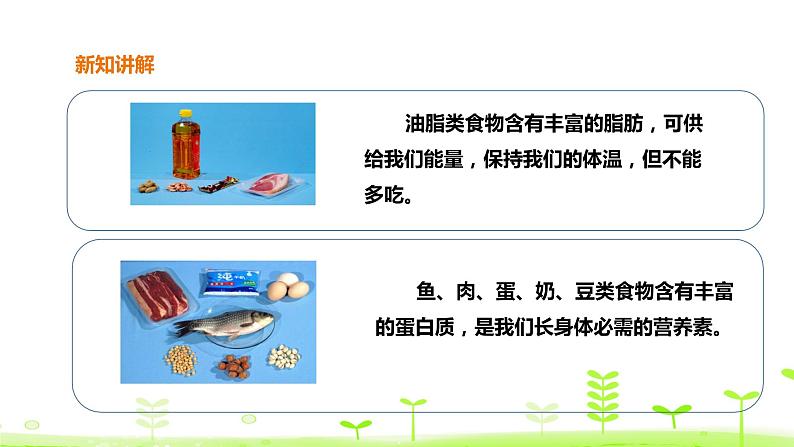 苏科版三上科学5.19《食物与营养》课件+教案+同步练习（含答案）05