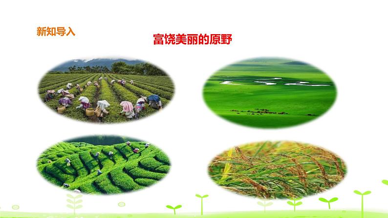 苏科版三上科学2.7《保护土壤》课件+教案+同步练习（含答案）02