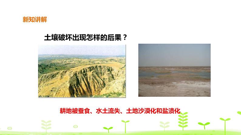 苏科版三上科学2.7《保护土壤》课件+教案+同步练习（含答案）07