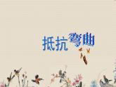 教科版六年级上册科学  生物的多样性《抵抗弯曲》课件