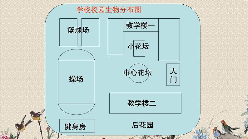 教科版六年级上册科学  生物的多样性《校园生物分布图》课件03