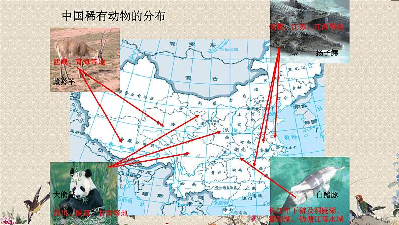 教科版六年级上册科学  生物的多样性《校园生物分布图》课件05