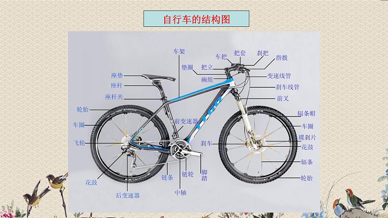 教科版六年级上册科学 工具和机械《自行车上的简单机械》课件06