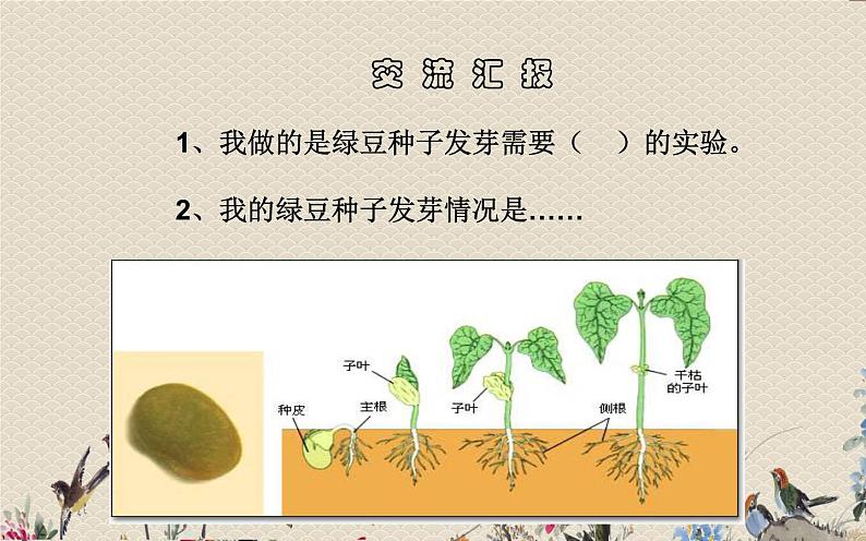 教科版五年级上册科学 生物与环境《种子发芽实验（二）》课件第2页