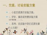 探索土地被侵蚀的因素PPT课件免费下载