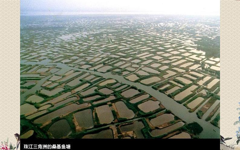 教科版五年级上册科学 地球表面及其变化《河流对土地的作用》课件第5页