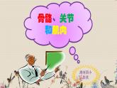 教科版四年级上册科学 我们的身体《骨骼、关节和肌肉》课件