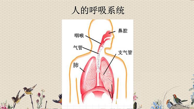 运动起来会怎样（二）PPT课件免费下载05