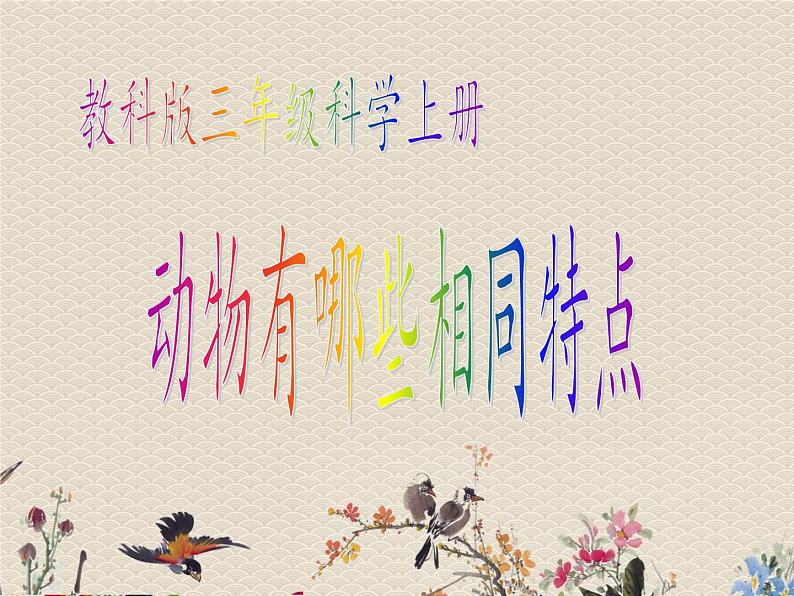 教科版三年级上册科学动物《动物有哪些相同特点》课件01