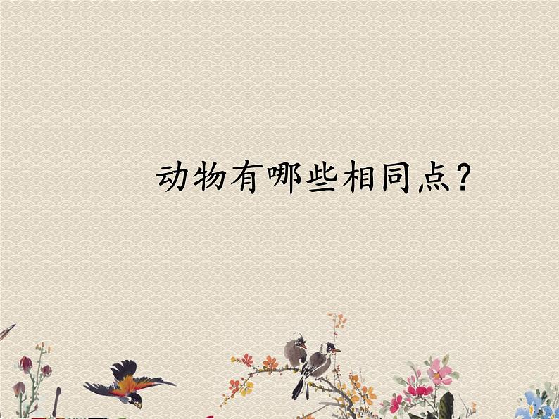 教科版三年级上册科学动物《动物有哪些相同特点》课件02