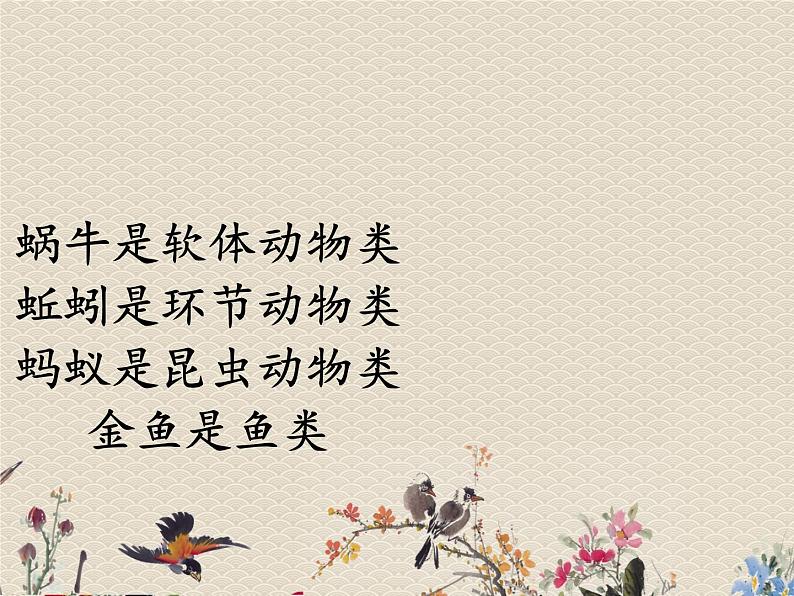 教科版三年级上册科学动物《动物有哪些相同特点》课件03