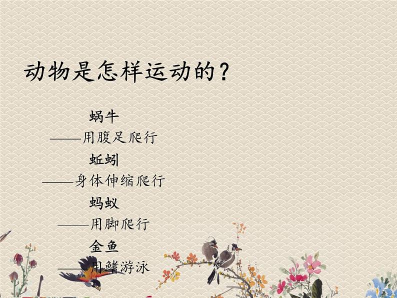 教科版三年级上册科学动物《动物有哪些相同特点》课件04