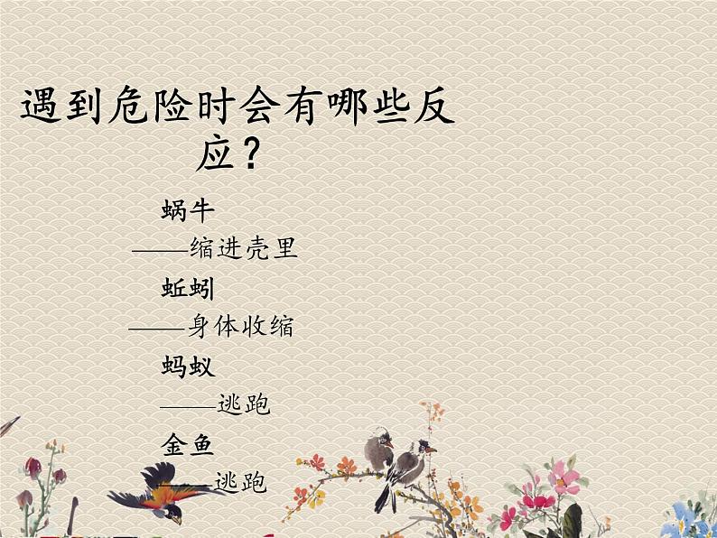 教科版三年级上册科学动物《动物有哪些相同特点》课件05