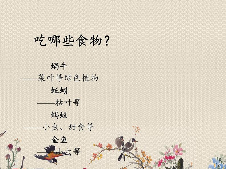 教科版三年级上册科学动物《动物有哪些相同特点》课件06