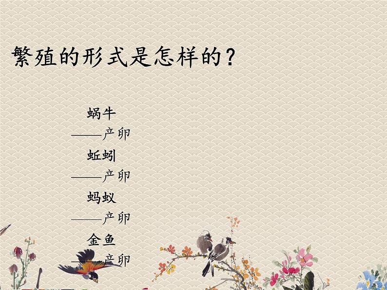 教科版三年级上册科学动物《动物有哪些相同特点》课件07