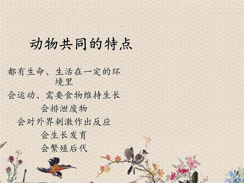 教科版三年级上册科学动物《动物有哪些相同特点》课件08