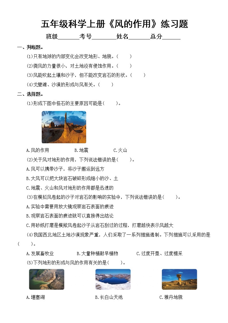 小学科学教科版五年级上册第二单元第5课《风的作用》练习题（2021新版，附参考答案）第1页