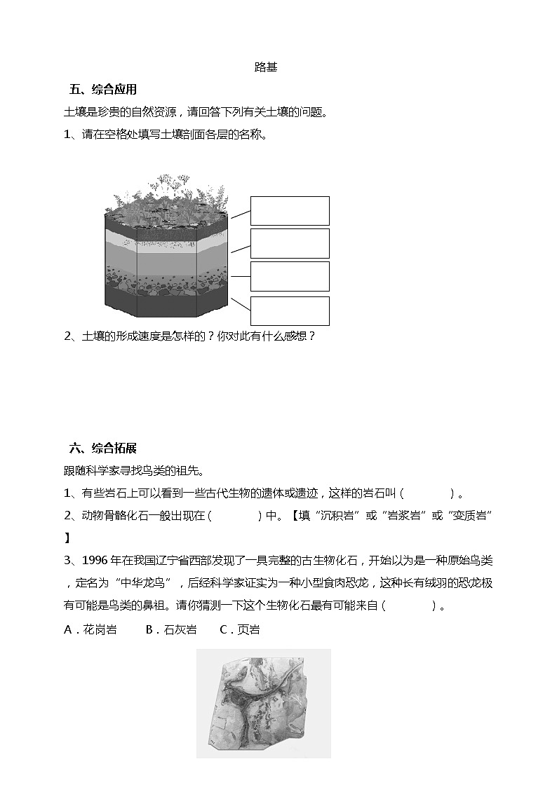 3.1岩石与土壤的故事 试题（含答案解析）第2页
