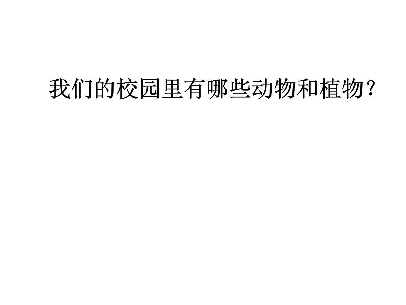 4.1校园生物大搜索（课件）-2021-2022学年科学六年级上册（教科版）第3页