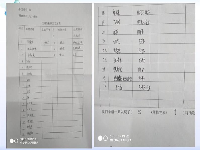 4.2《校园生物分布图》（课件）-2021-2022学年科学六年级上册（教科版）第3页