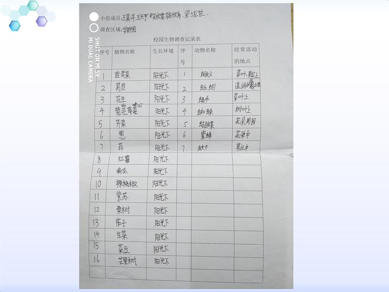 4.2《校园生物分布图》（课件）-2021-2022学年科学六年级上册（教科版）第4页