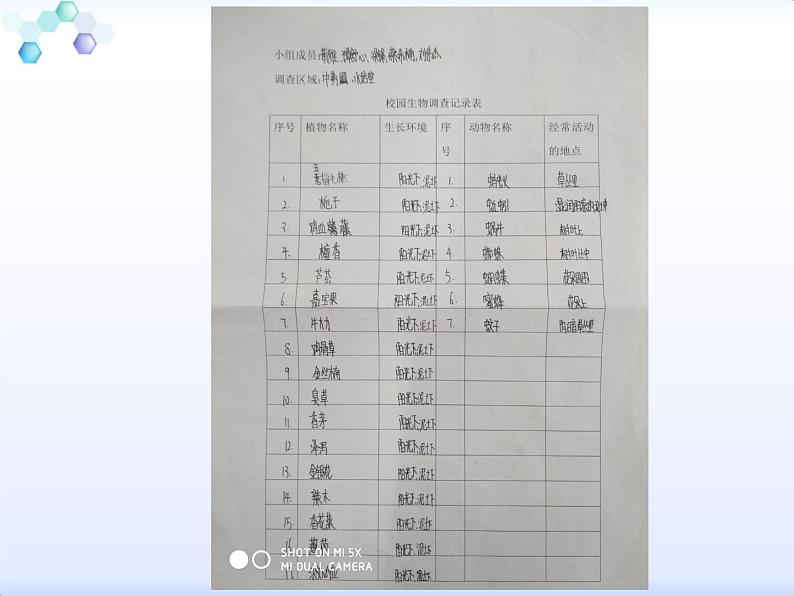 4.2《校园生物分布图》（课件）-2021-2022学年科学六年级上册（教科版）第5页