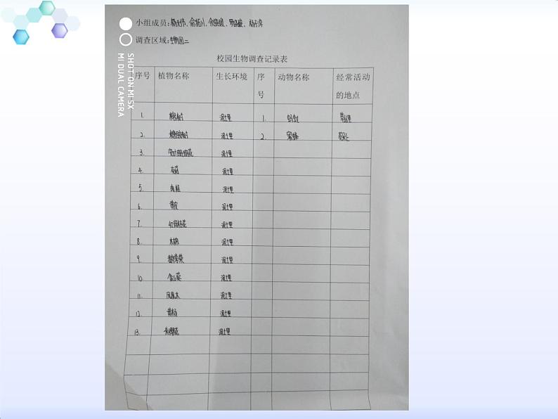 4.2《校园生物分布图》（课件）-2021-2022学年科学六年级上册（教科版）第7页