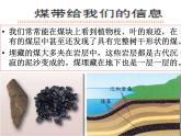 3.8《能量与太阳》2（课件）-2021-2022学年科学六年级上册（教科版）