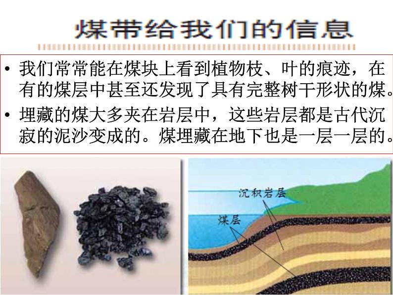 3.8《能量与太阳》2（课件）-2021-2022学年科学六年级上册（教科版）04