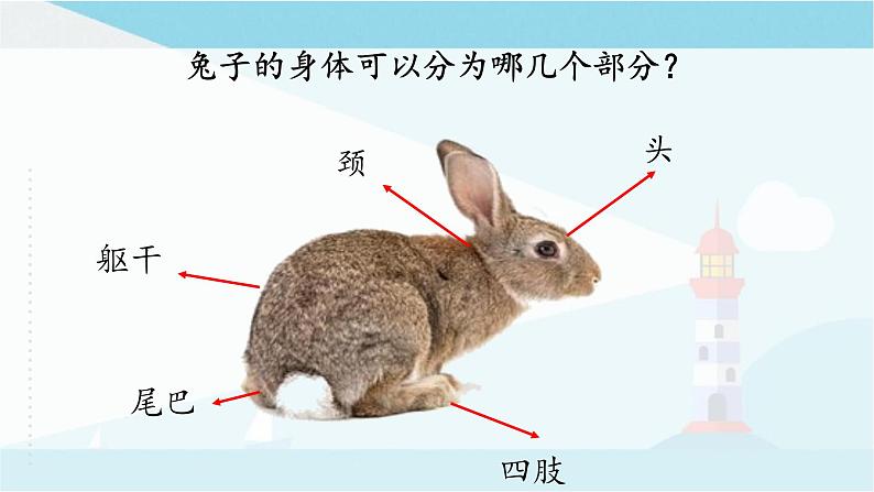 粤教粤科版三上科学 《探究技能：观察》课件04