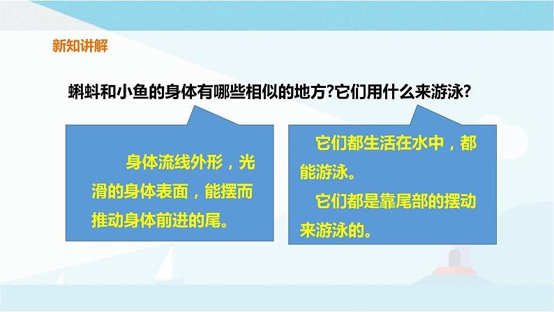 粤教粤科版三上科学 1.1《鲫鱼与青蛙》课件04