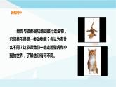 粤教粤科版三上科学 1.3《壁虎与小猫》课件