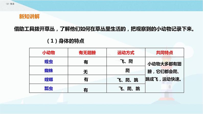 粤教粤科版三上科学 1.4《草地里的小动物》 课件05