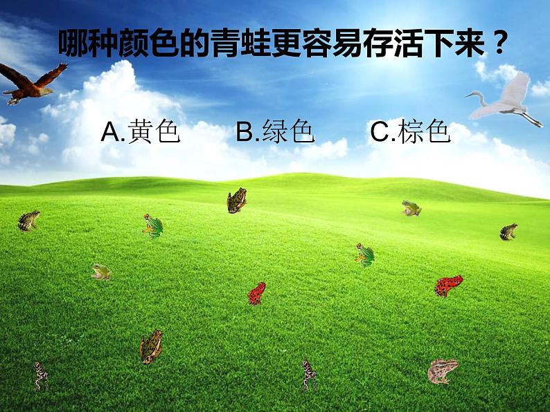 三年级上科学-1.1我看到了什么课件-教科版第3页