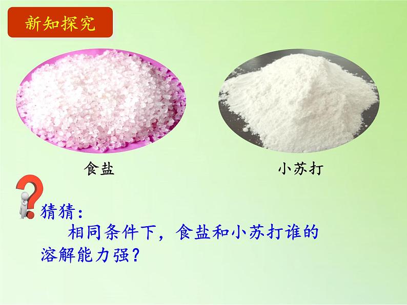 三年级上科学-1.1我看到了什么(1)课件-教科版第3页