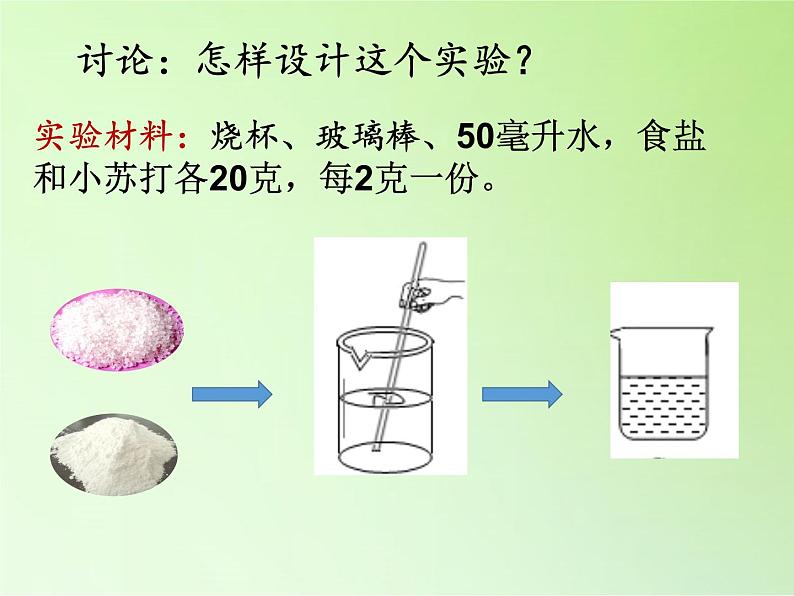 三年级上科学-1.1我看到了什么(1)课件-教科版第4页