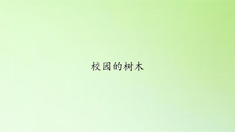 三年级上科学-1.2校园的树木(4)课件-教科版第1页