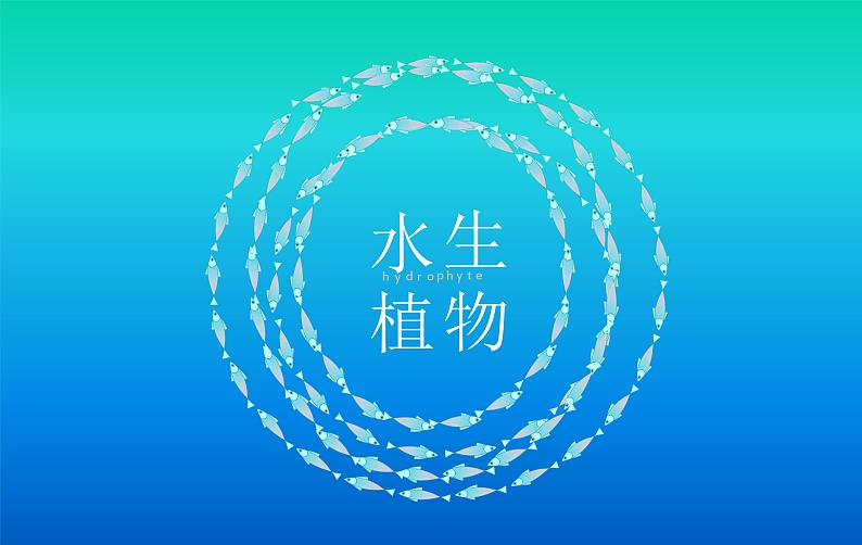 三年级上科学-1.4水生植物课件-教科版01