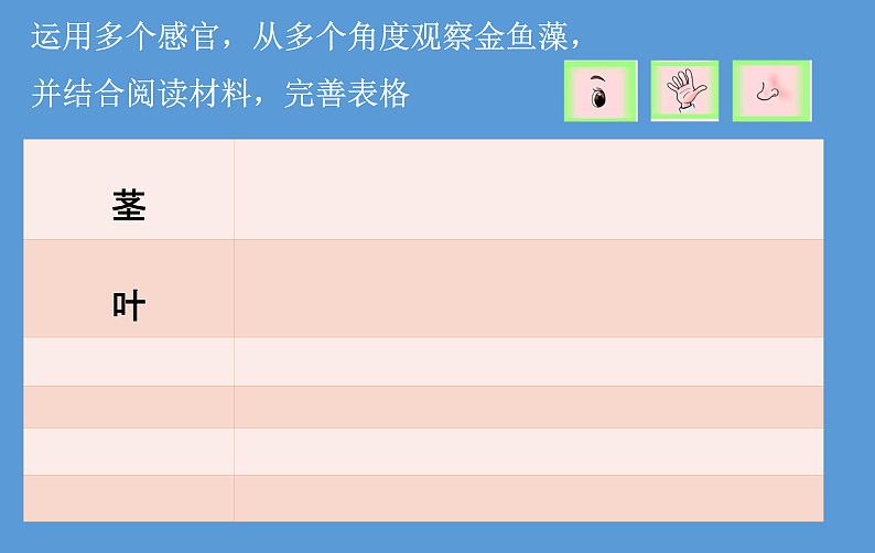 三年级上科学-1.4水生植物课件-教科版04